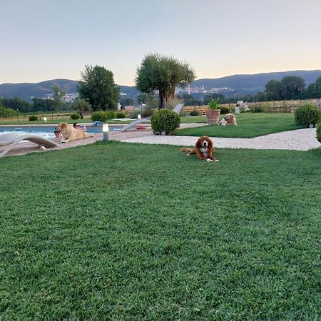 Agriturismo Tenuta Filippi Нарни Экстерьер фото