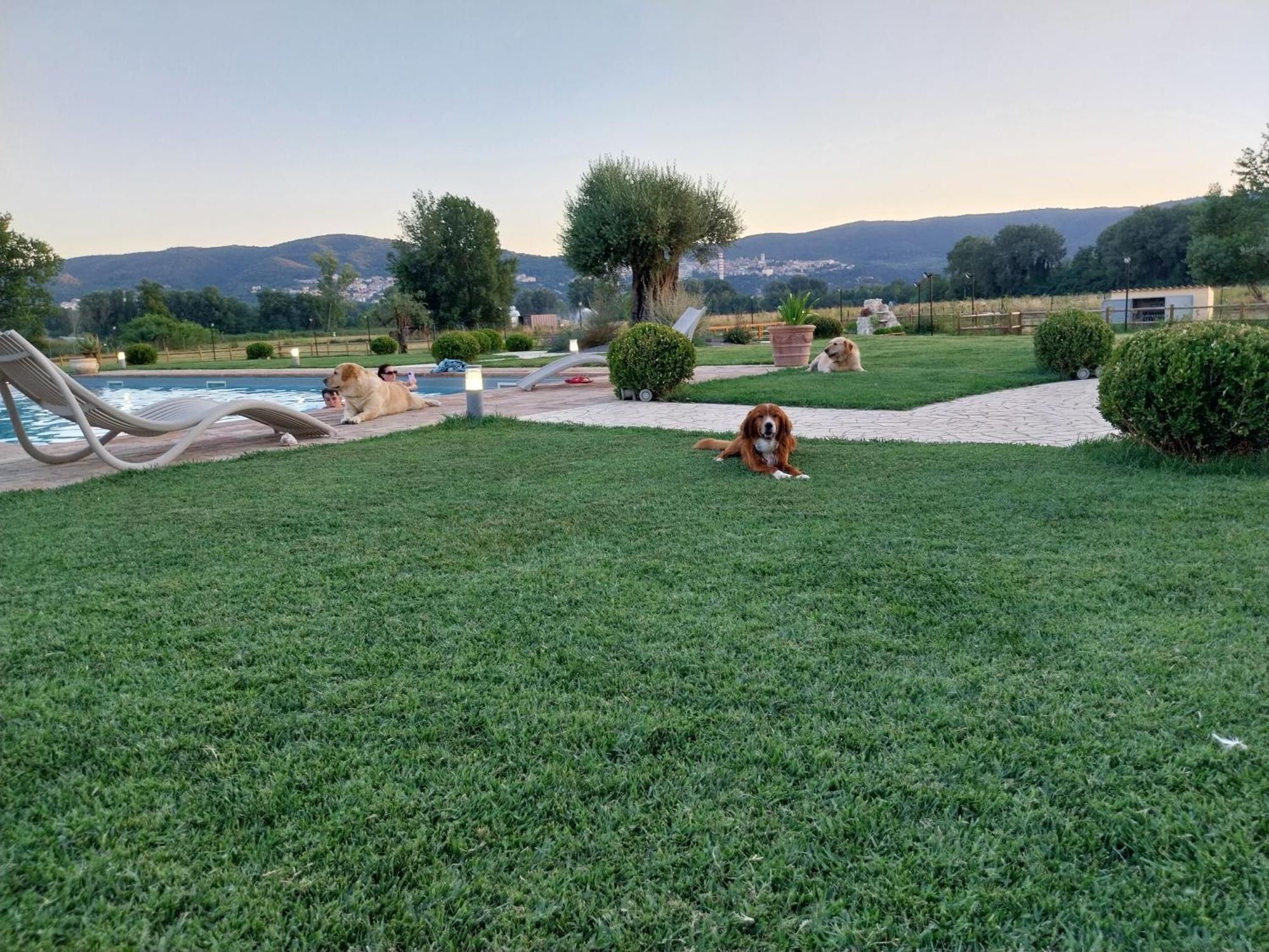 Agriturismo Tenuta Filippi Нарни Экстерьер фото