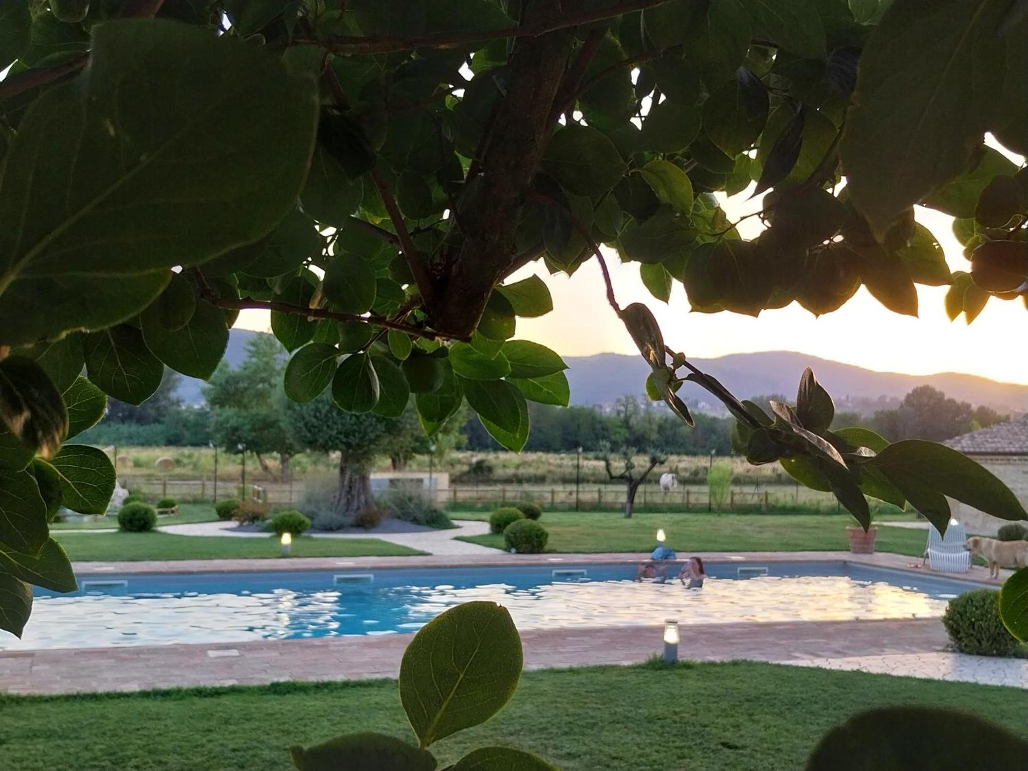 Agriturismo Tenuta Filippi Нарни Экстерьер фото